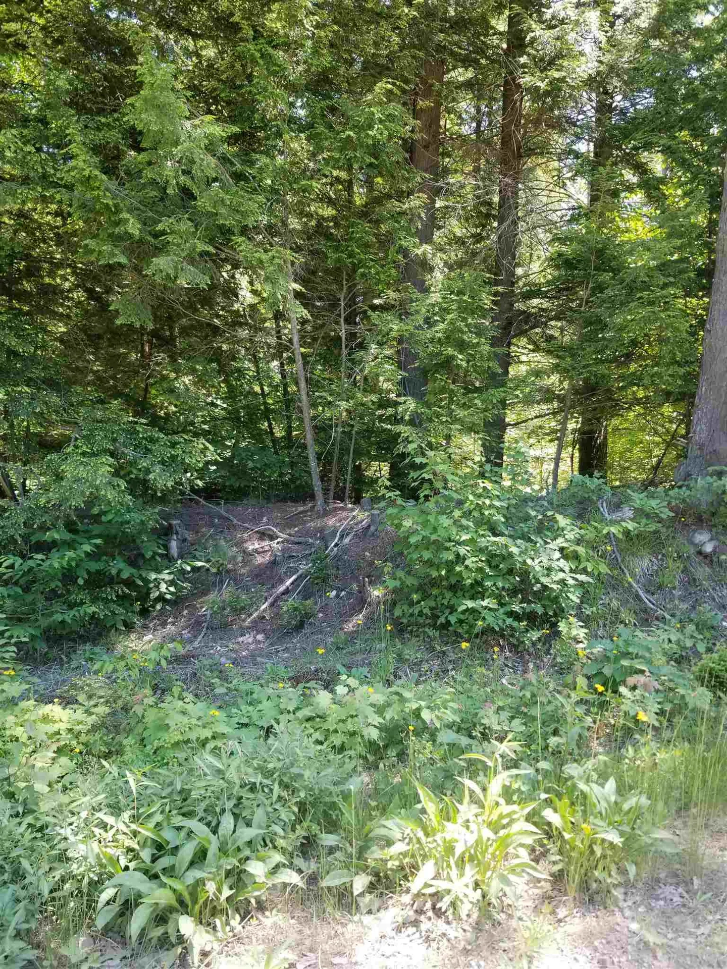 000 Trebo Road Chester VT 05143