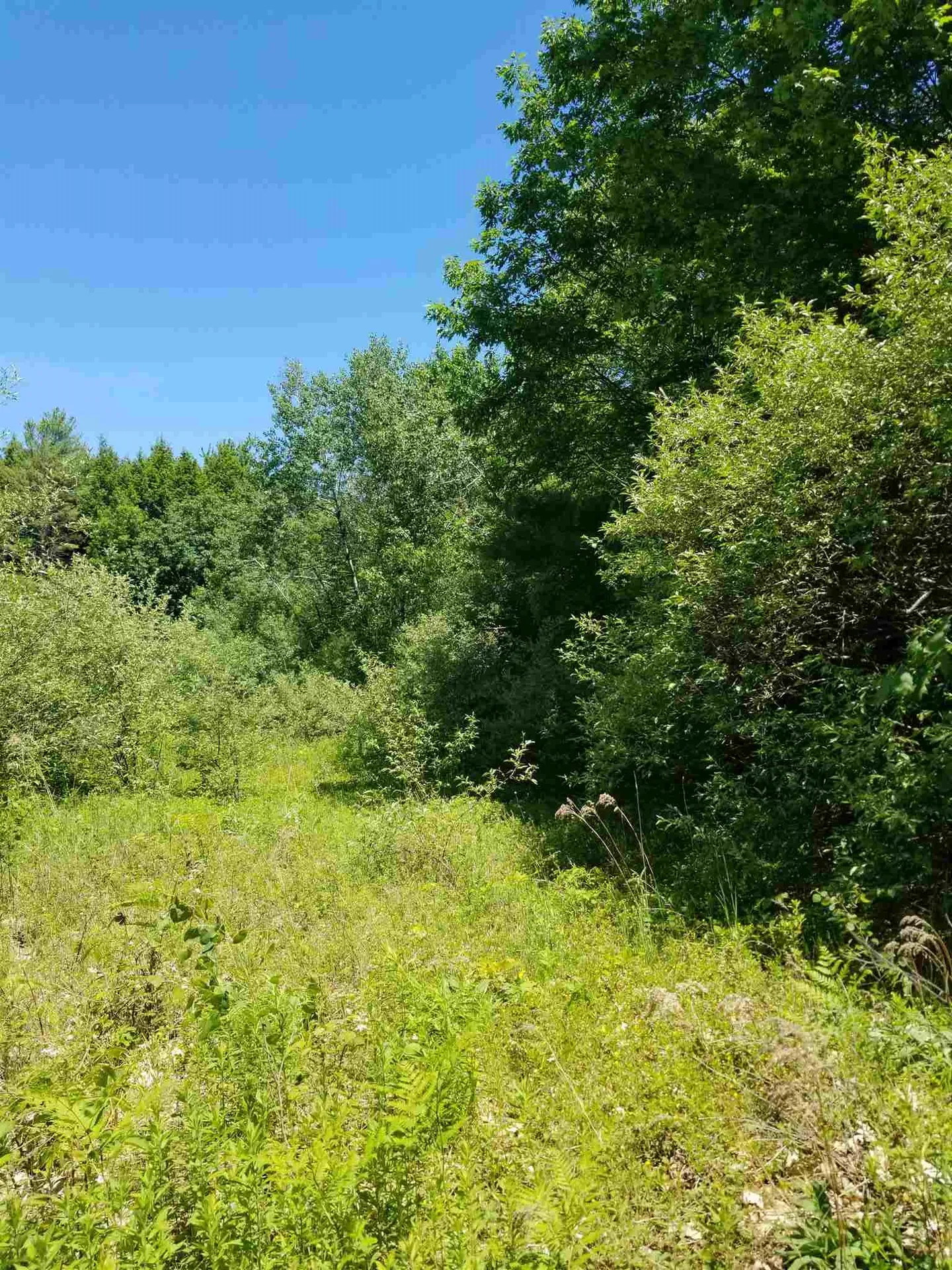 000 Trebo Road Chester VT 05143
