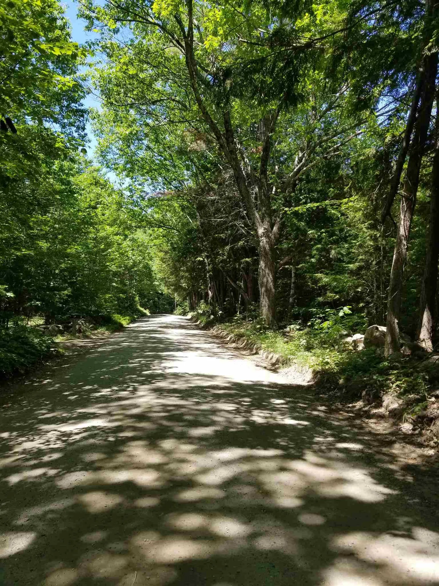 000 Trebo Road Chester VT 05143