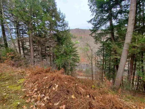 25 Moss Hollow Lane Newfane VT 05345