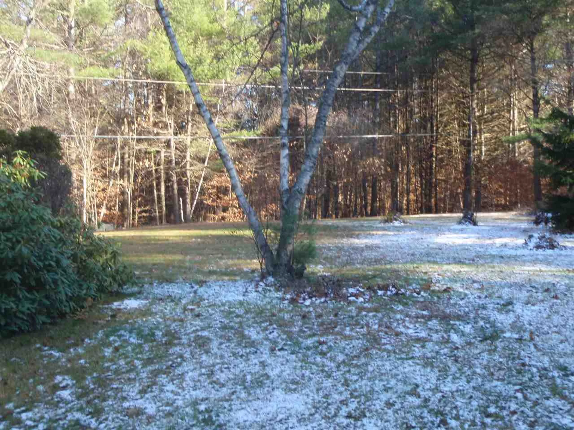 4 Spruce Lane Grafton NH 03240