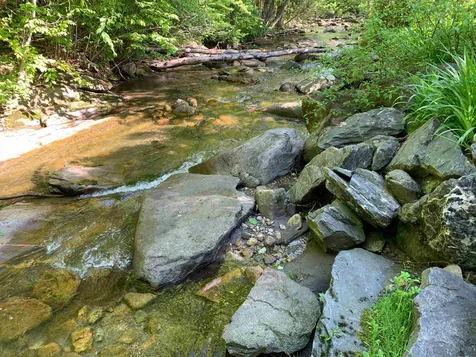 52 Governor Mattocks Road Peacham VT 05862