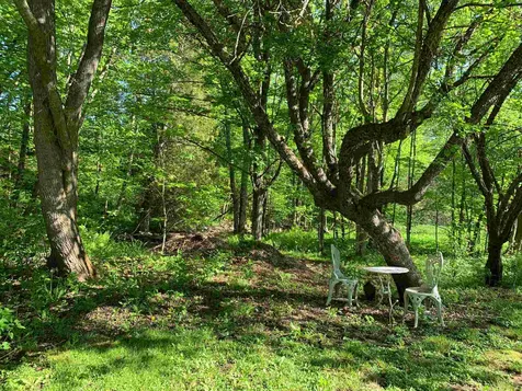 52 Governor Mattocks Road Peacham VT 05862