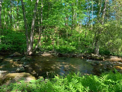 52 Governor Mattocks Road Peacham VT 05862