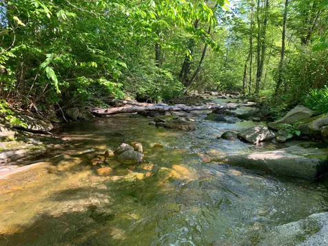 52 Governor Mattocks Road Peacham VT 05862