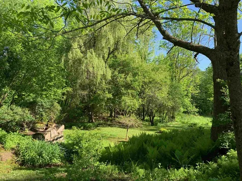 52 Governor Mattocks Road Peacham VT 05862
