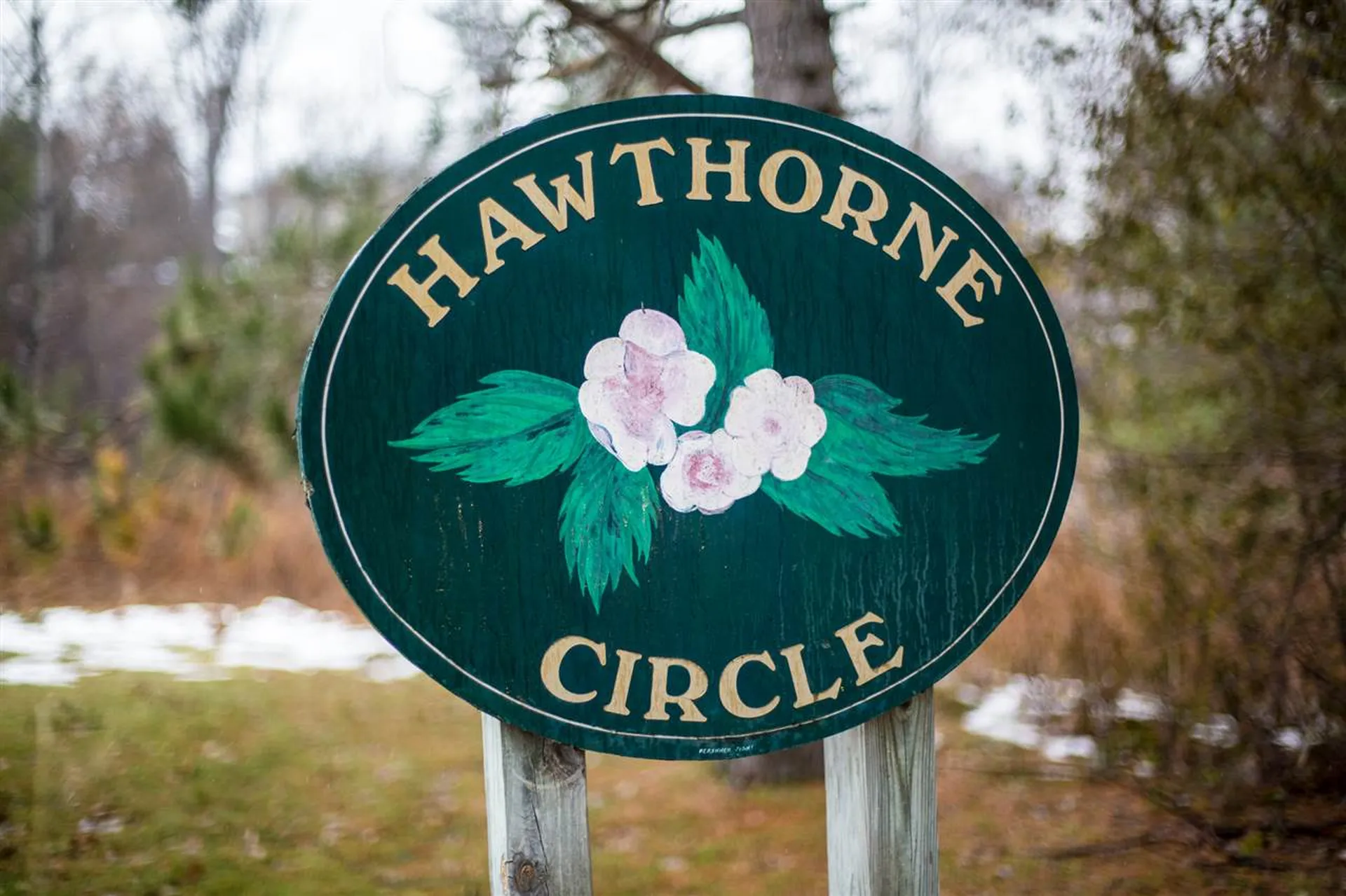 55 Hawthorne Circle South Burlington VT 05403