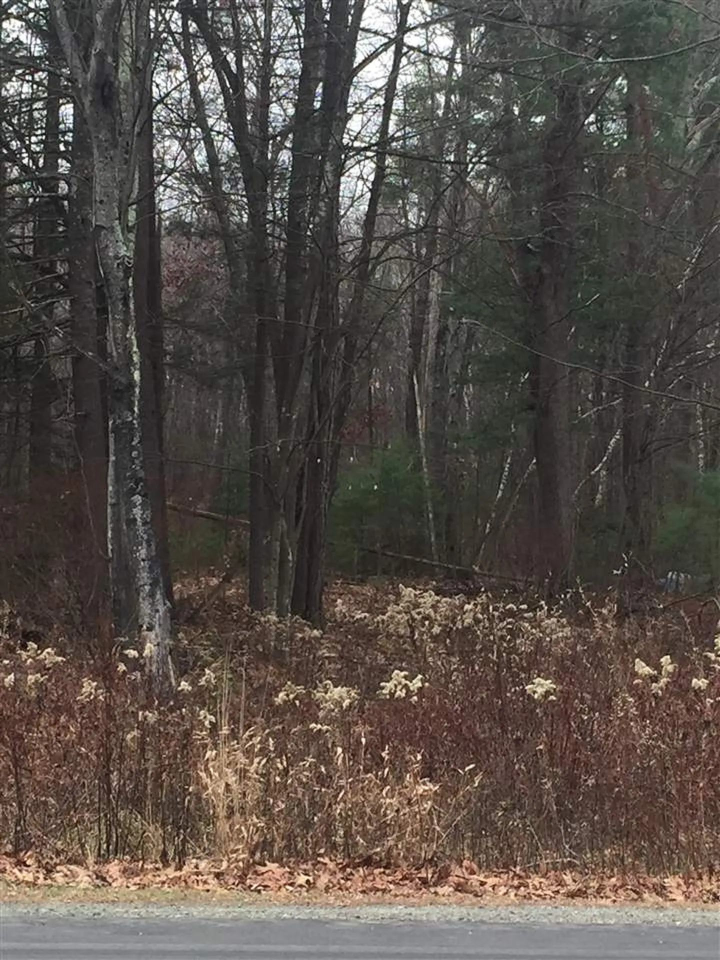 104 Newton Road Plaistow NH 03865