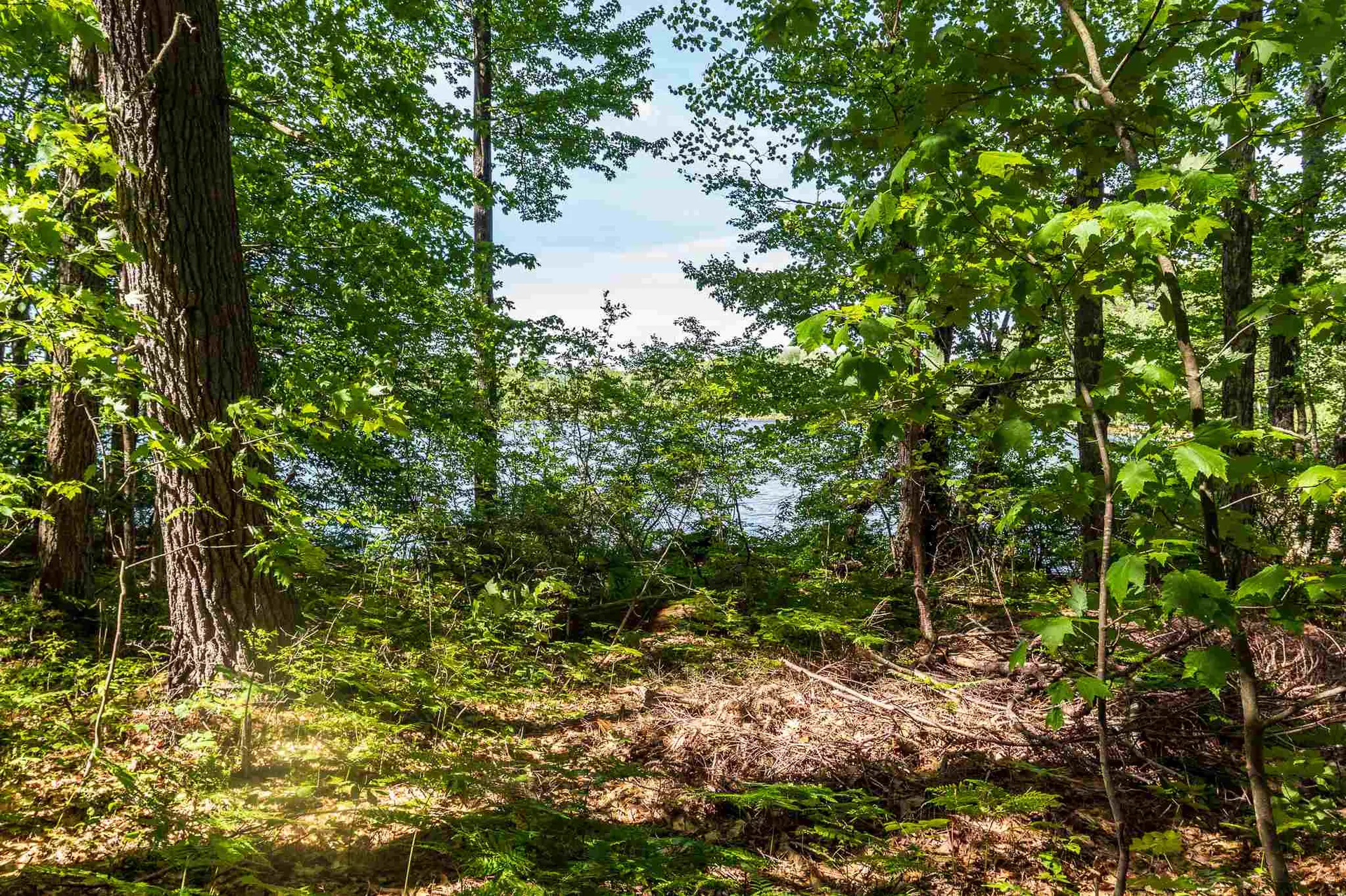 58 Camp Road Wolfeboro NH 03894