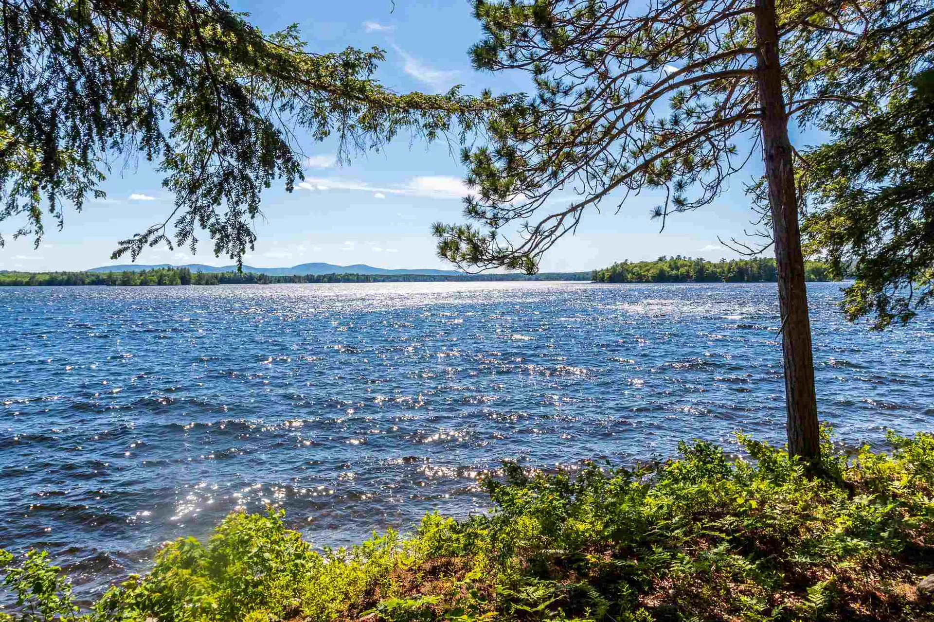 58 Camp Road Wolfeboro NH 03894