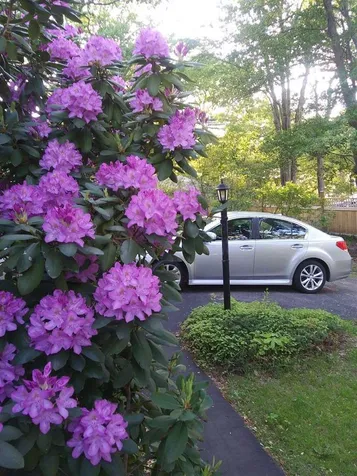 25 Birch Drive Dover NH 03820