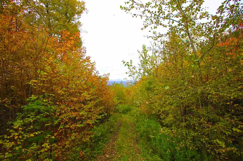 400 Old Town Highway 25 Road Orange VT 05641