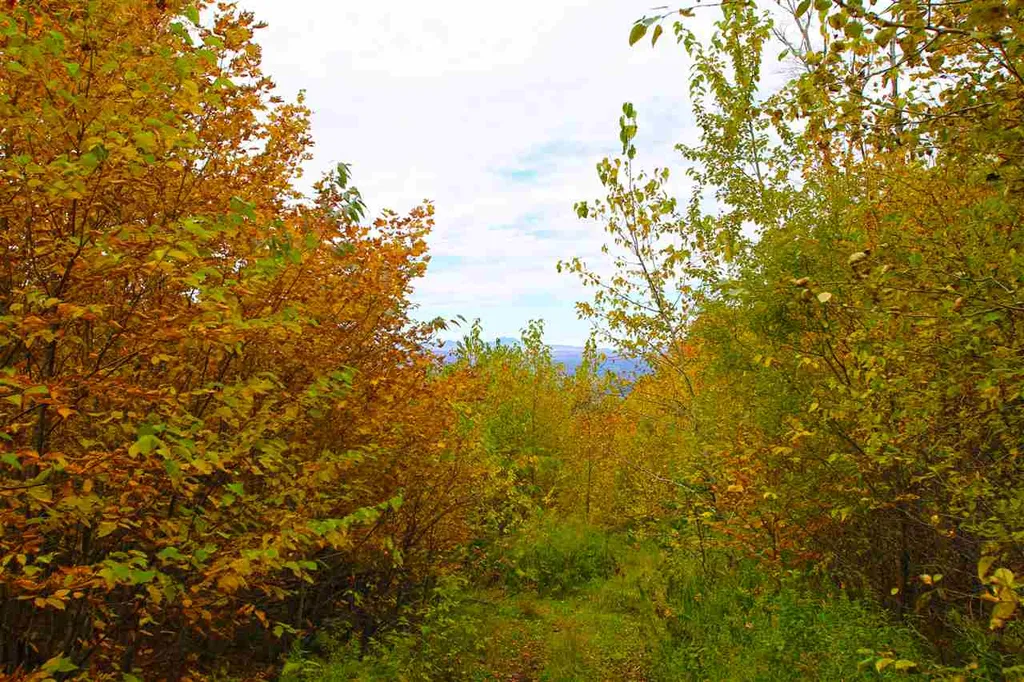 400 Old Town Highway 25 Road Orange VT 05641