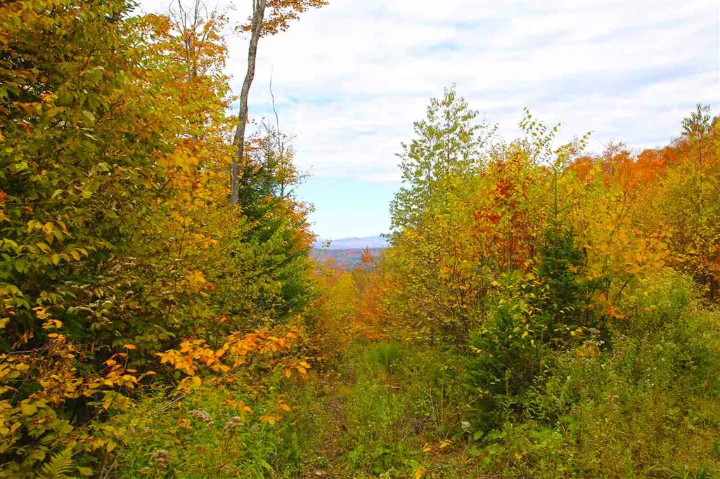 400 Old Town Highway 25 Road Orange VT 05641