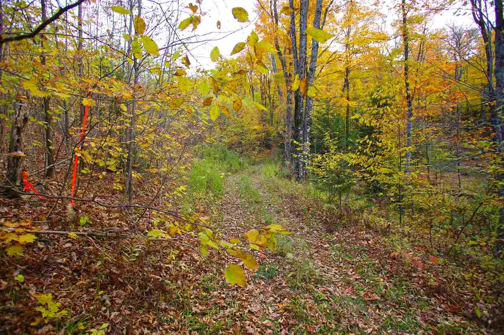 400 Old Town Highway 25 Road Orange VT 05641