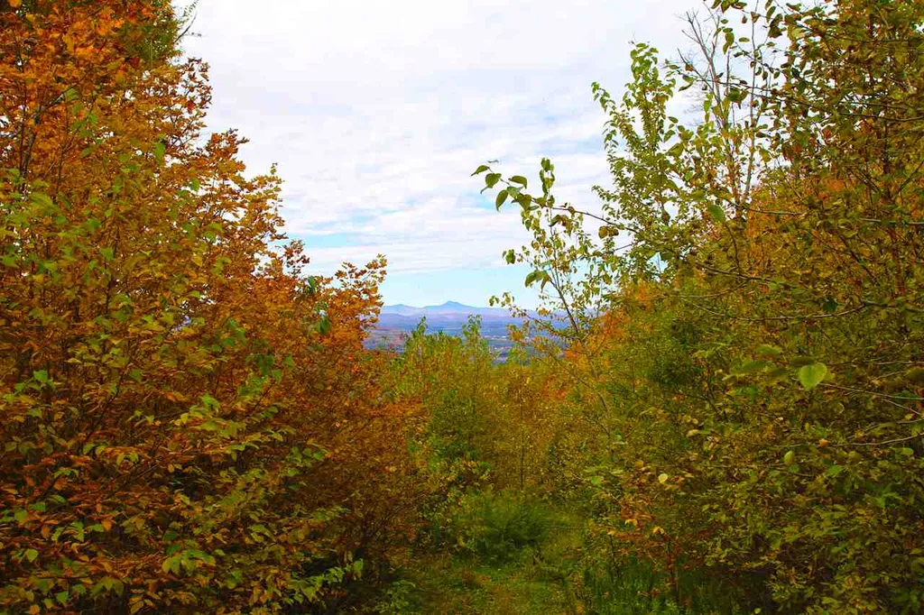 400 Old Town Highway 25 Road Orange VT 05641
