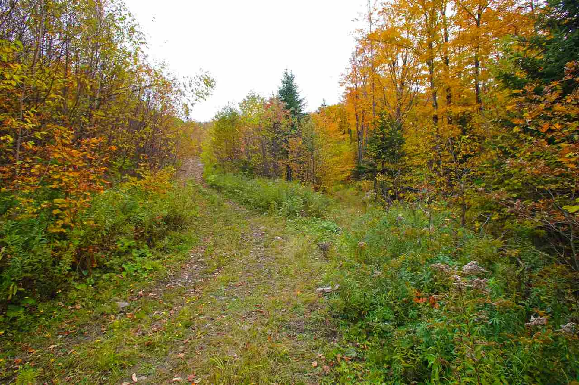 400 Old Town Highway 25 Road Orange VT 05641