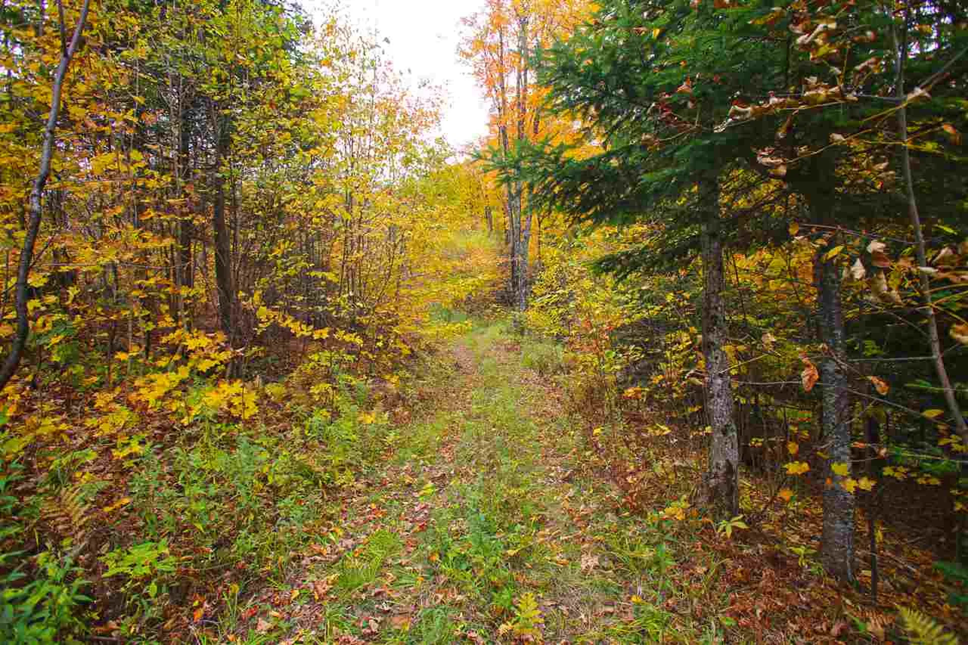 400 Old Town Highway 25 Road Orange VT 05641