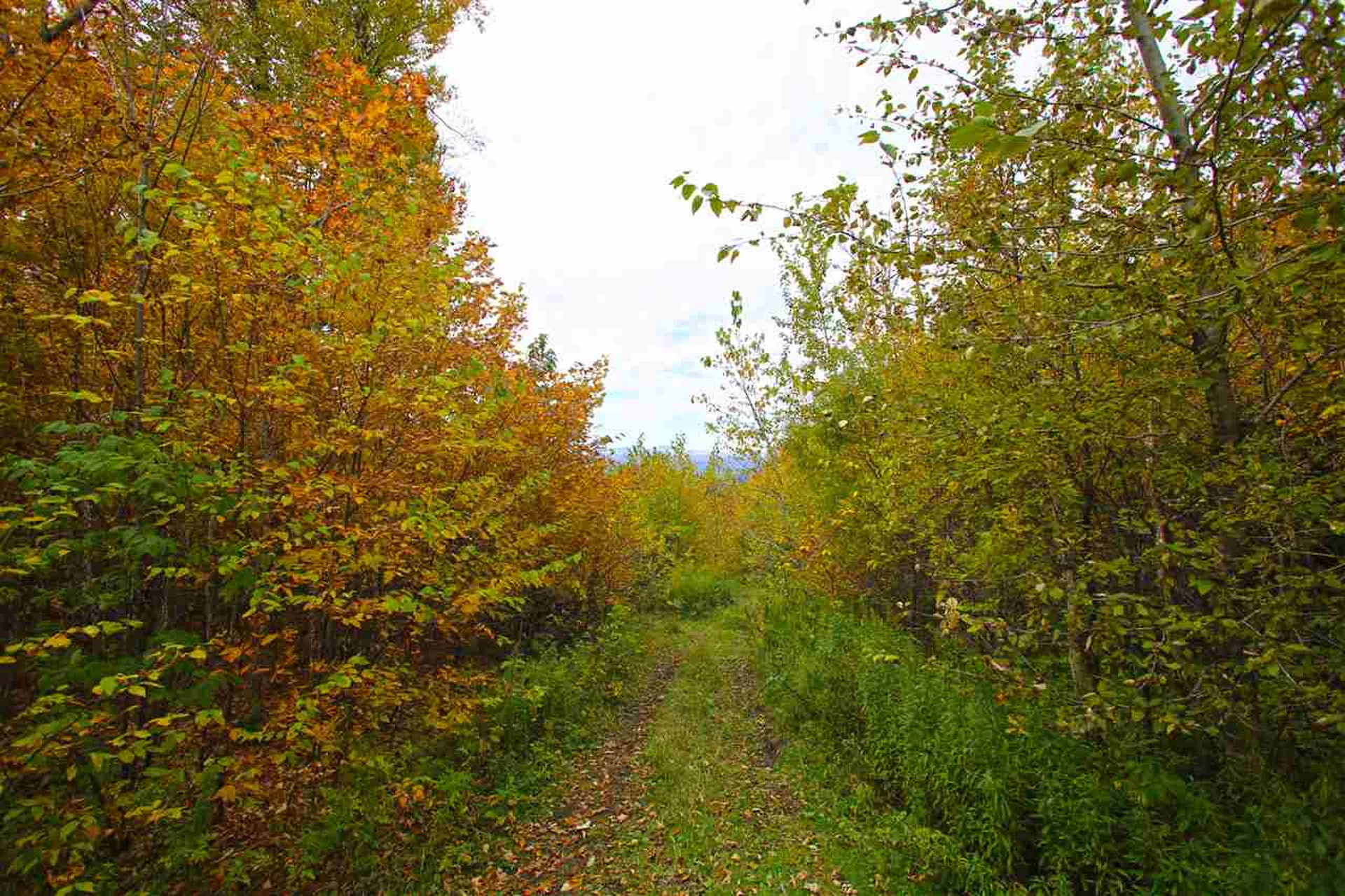 400 Old Town Highway 25 Road Orange VT 05641