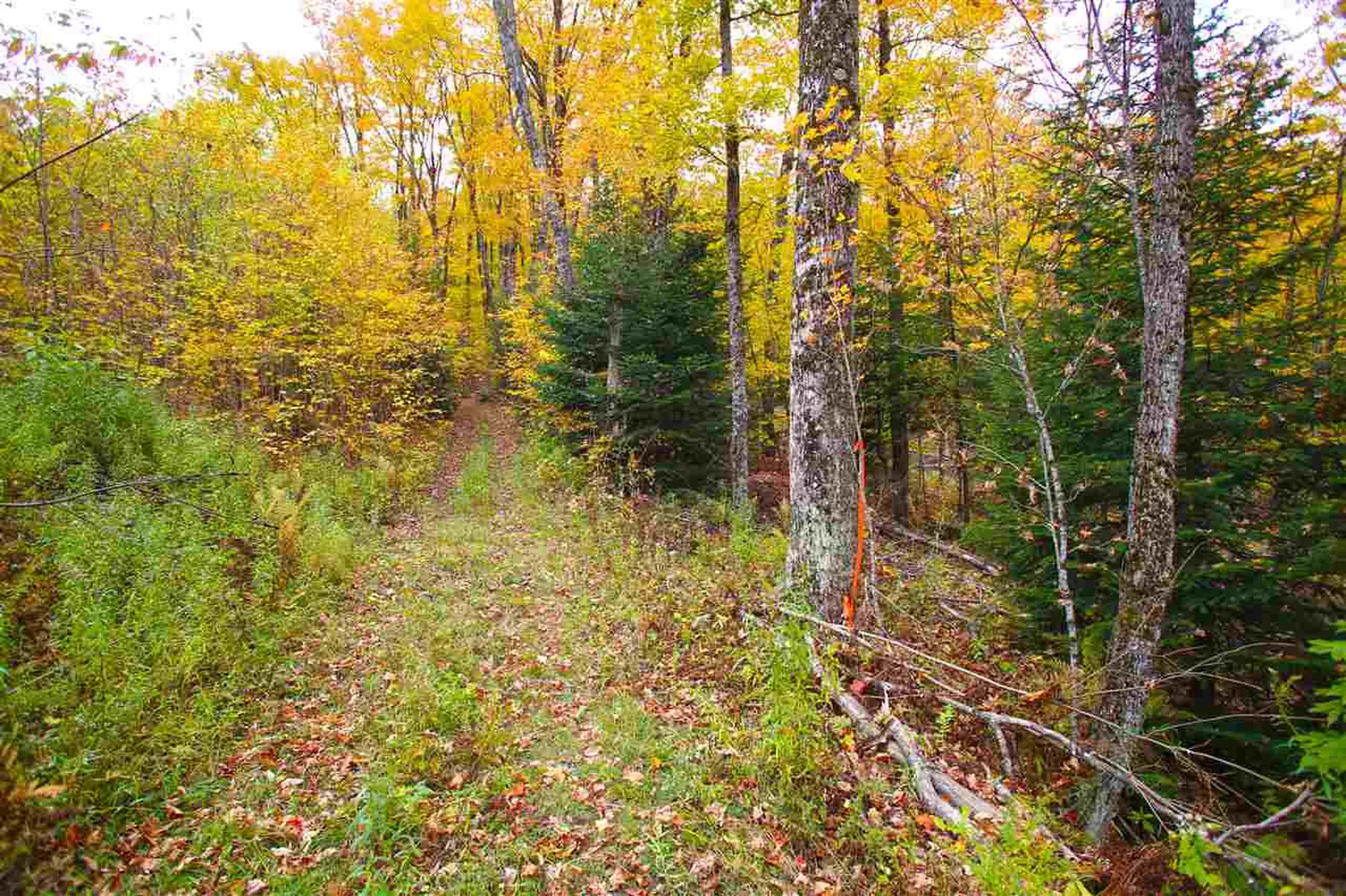 400 Old Town Highway 25 Road Orange VT 05641
