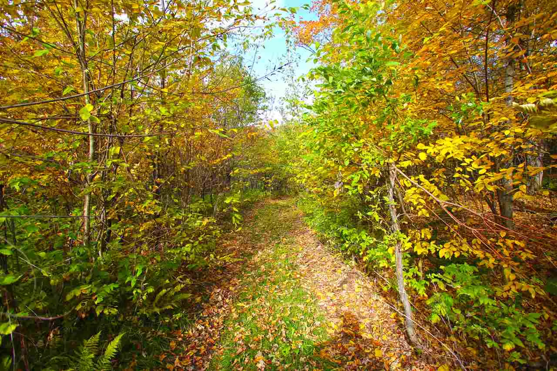 400 Old Town Highway 25 Road Orange VT 05641