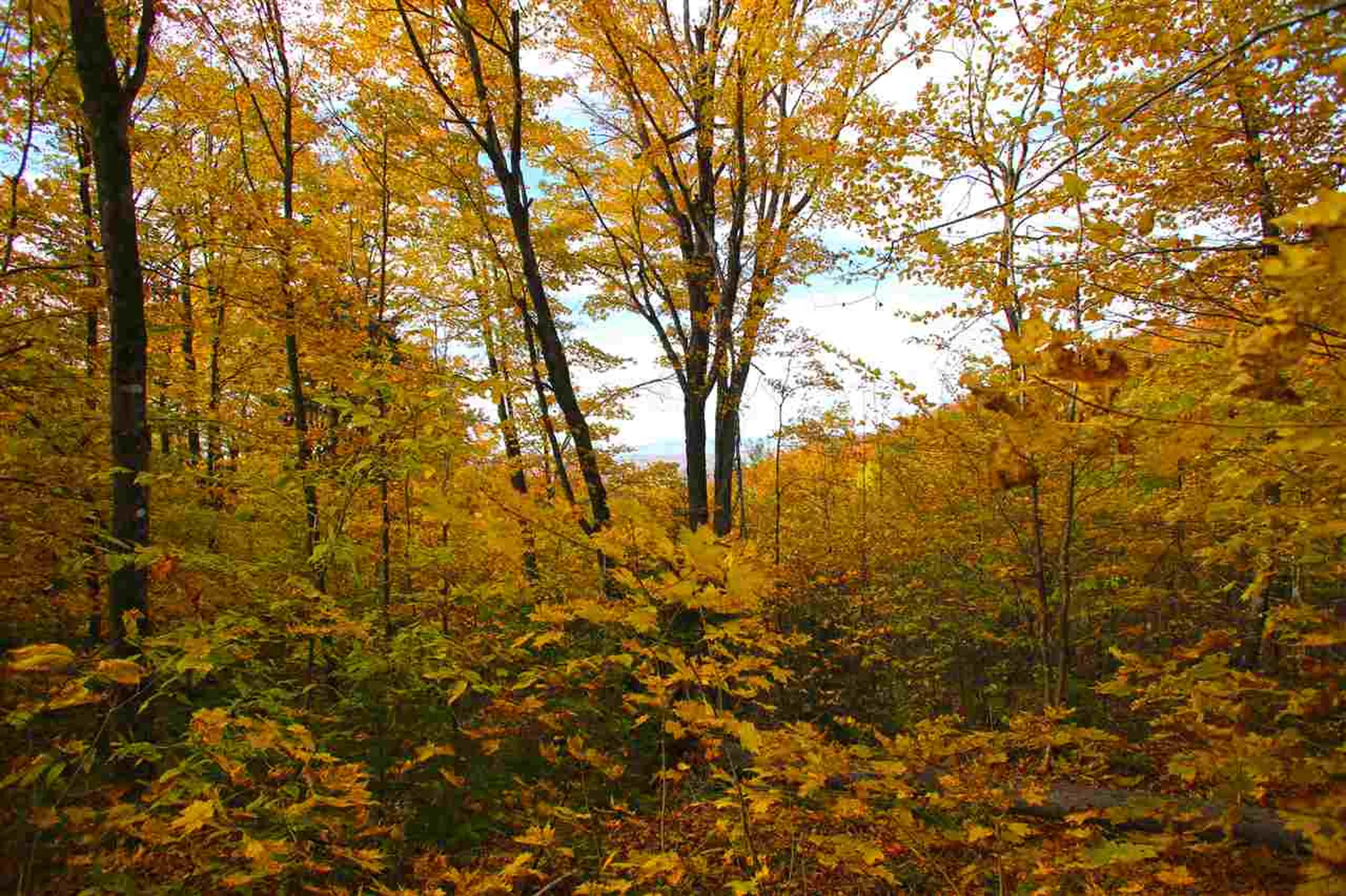 400 Old Town Highway 25 Road Orange VT 05641