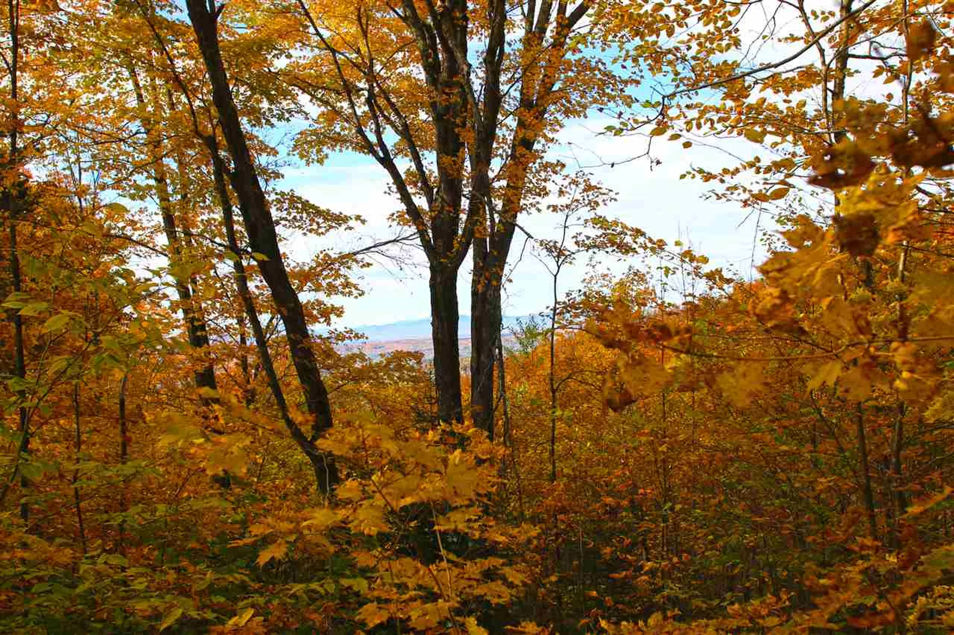400 Old Town Highway 25 Road Orange VT 05641