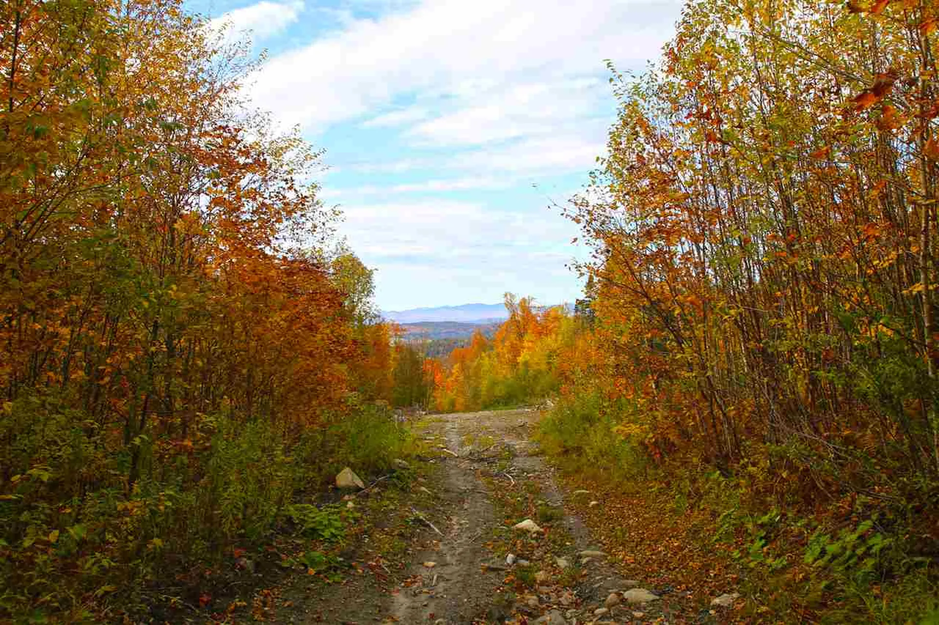 400 Old Town Highway 25 Road Orange VT 05641