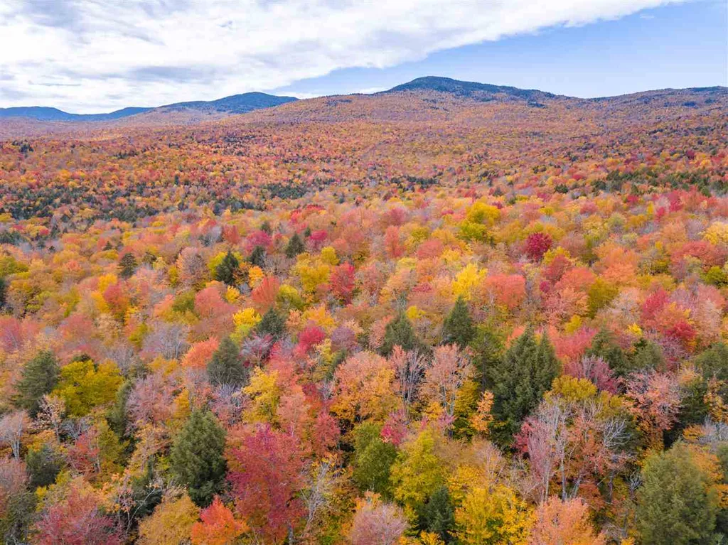 4000 Hardwood Flats Road Elmore, VT Real Estate MLS 4781323