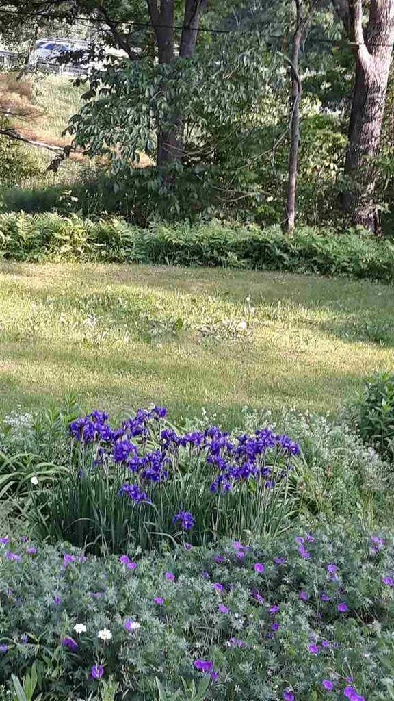 23 Farr Road Lebanon NH 03766