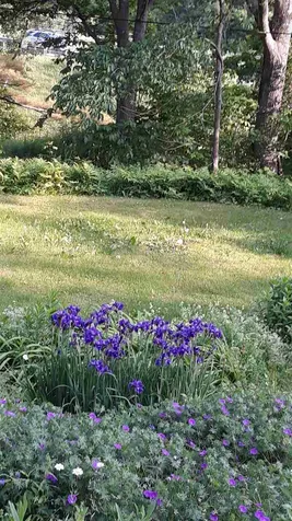 23 Farr Road Lebanon NH 03766