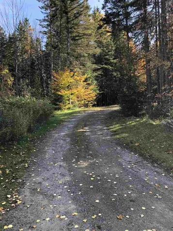 554 Kittredge Road Barton VT 05822