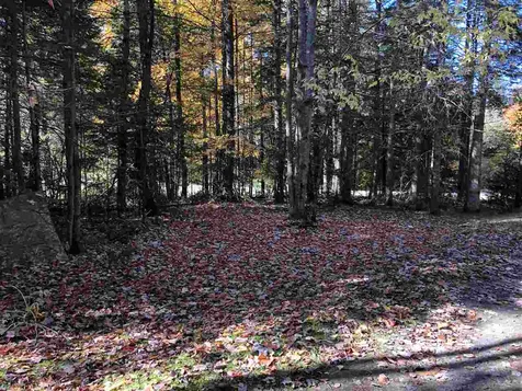 554 Kittredge Road Barton VT 05822