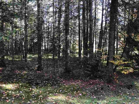 554 Kittredge Road Barton VT 05822