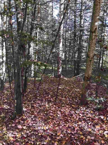 554 Kittredge Road Barton VT 05822