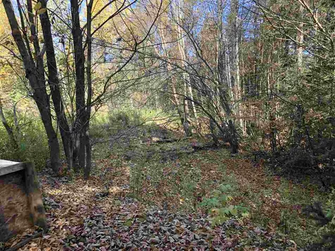 554 Kittredge Road Barton VT 05822