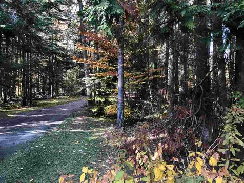 554 Kittredge Road Barton VT 05822