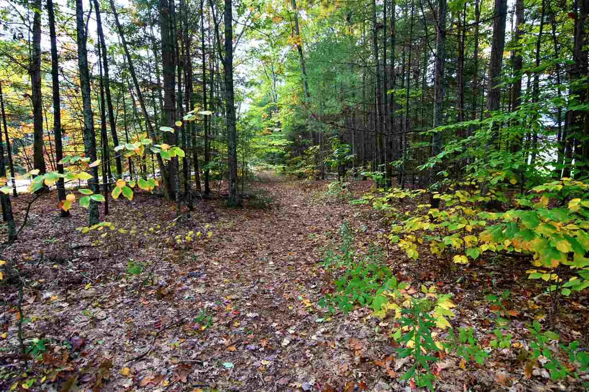 73 Partridge Drive Essex VT 05452