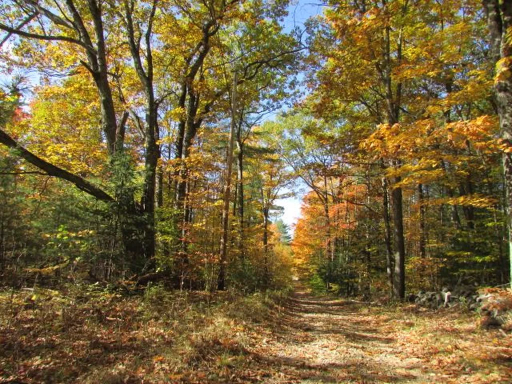 171 Eastman Hill Road Sanbornton NH 03269