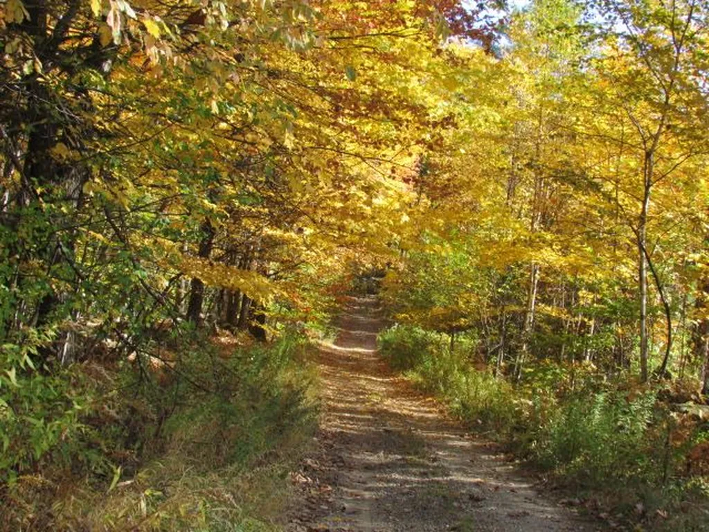 171 Eastman Hill Road Sanbornton NH 03269