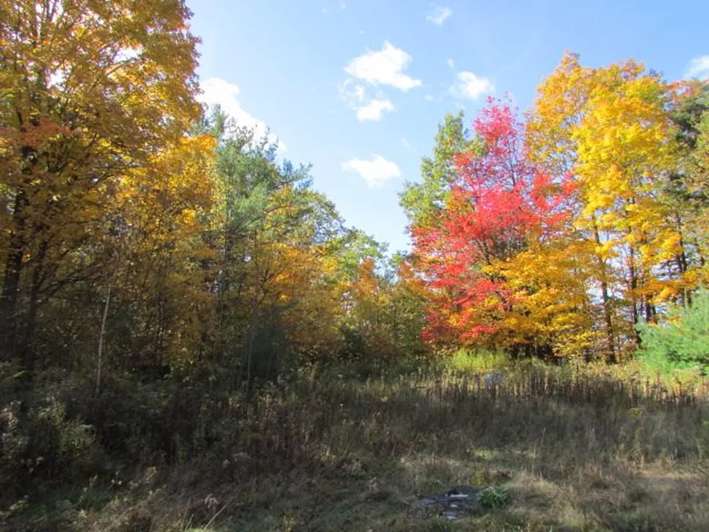 171 Eastman Hill Road Sanbornton NH 03269