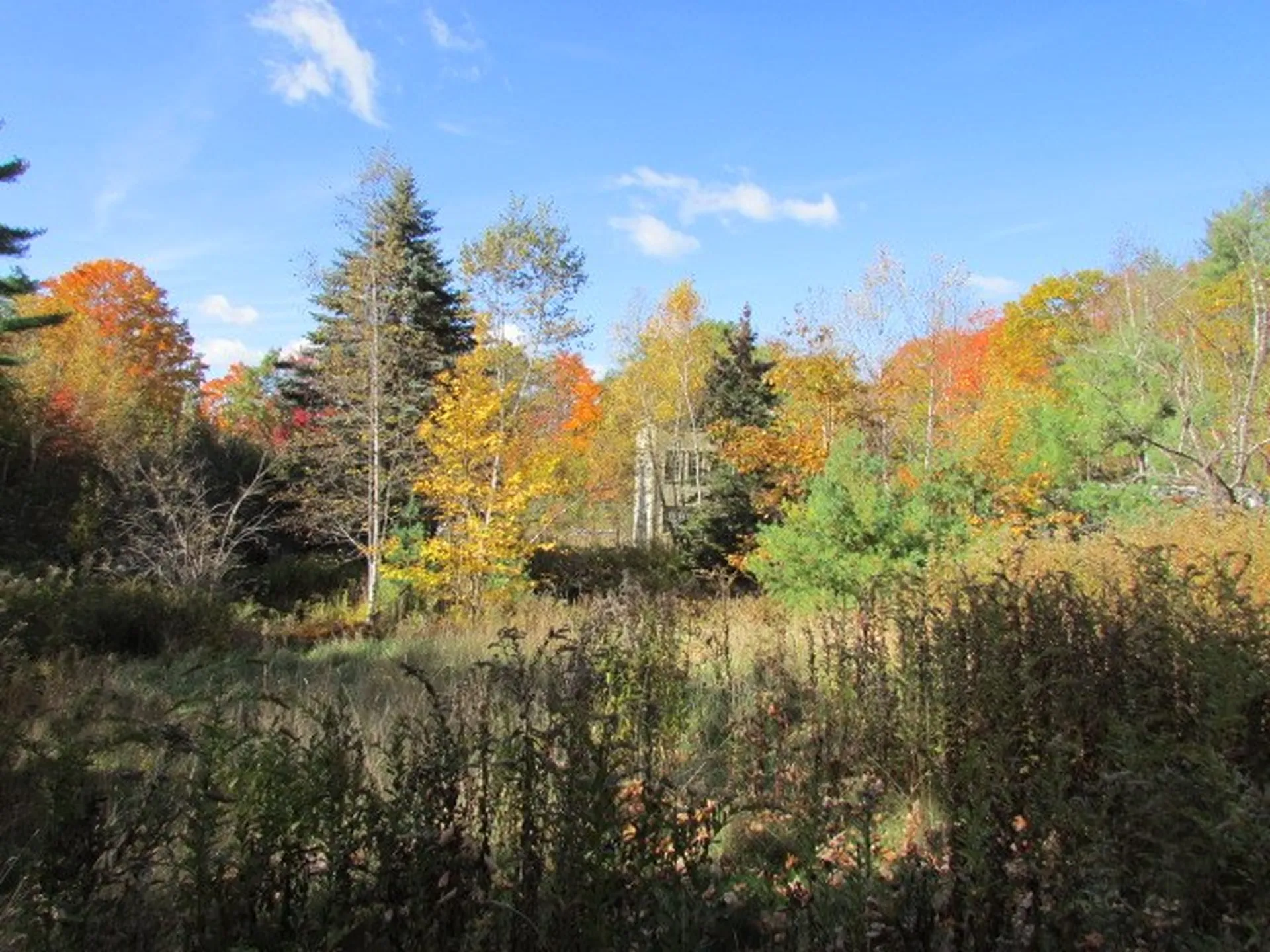 171 Eastman Hill Road Sanbornton NH 03269