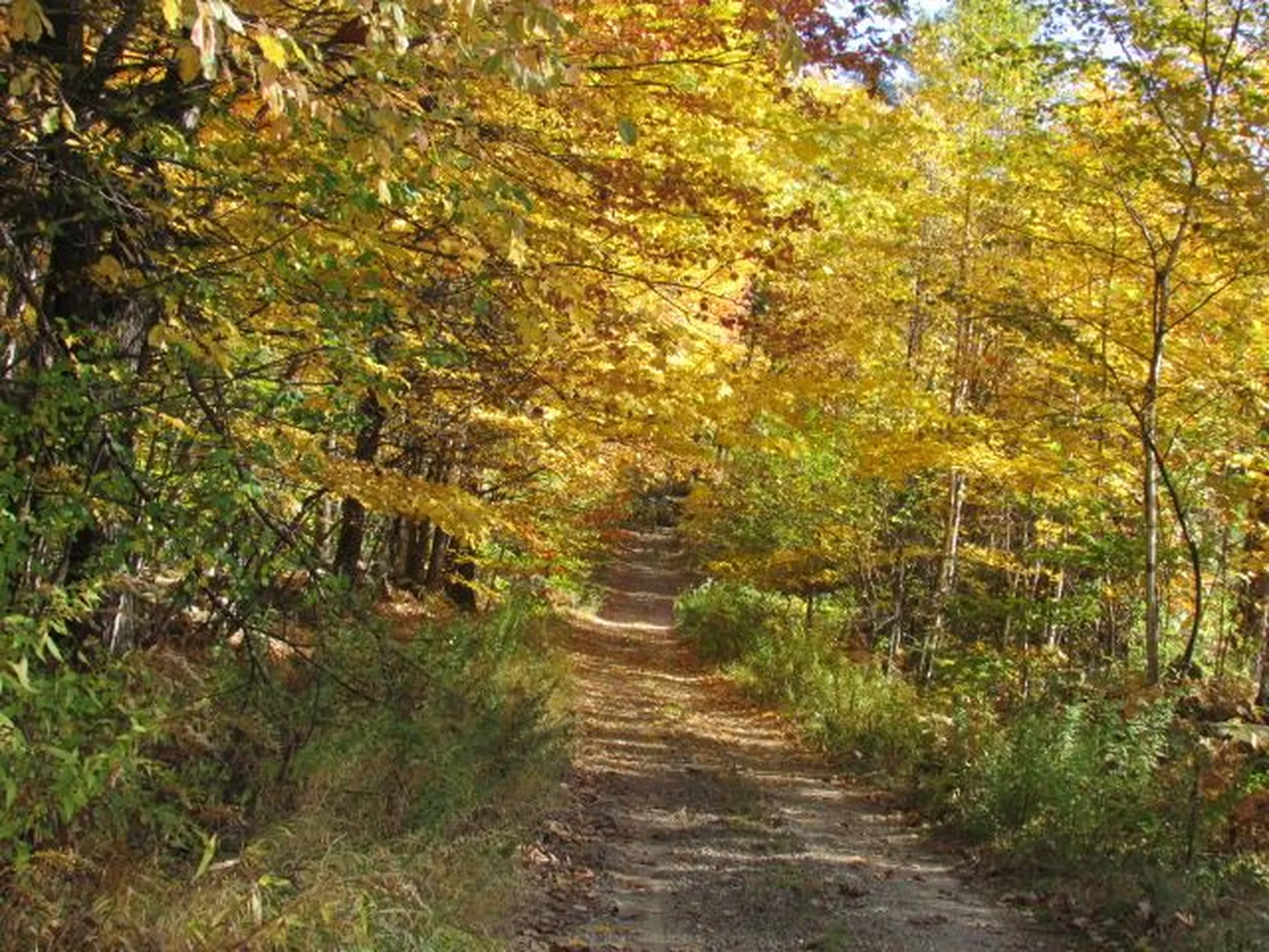 171 Eastman Hill Road Sanbornton NH 03269