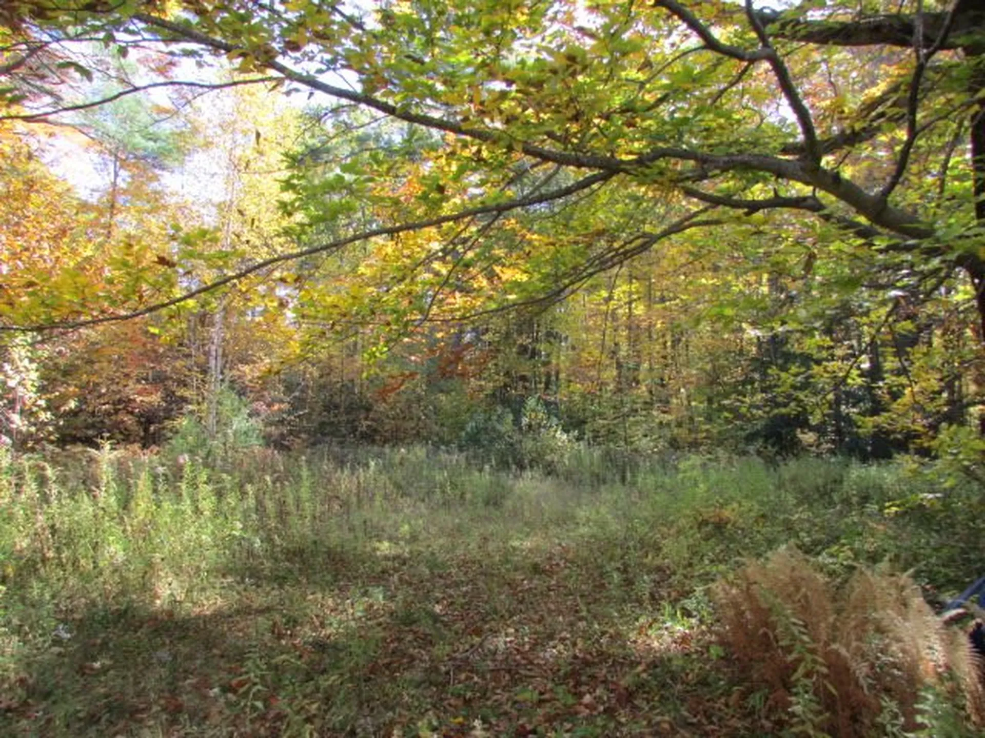 171 Eastman Hill Road Sanbornton NH 03269