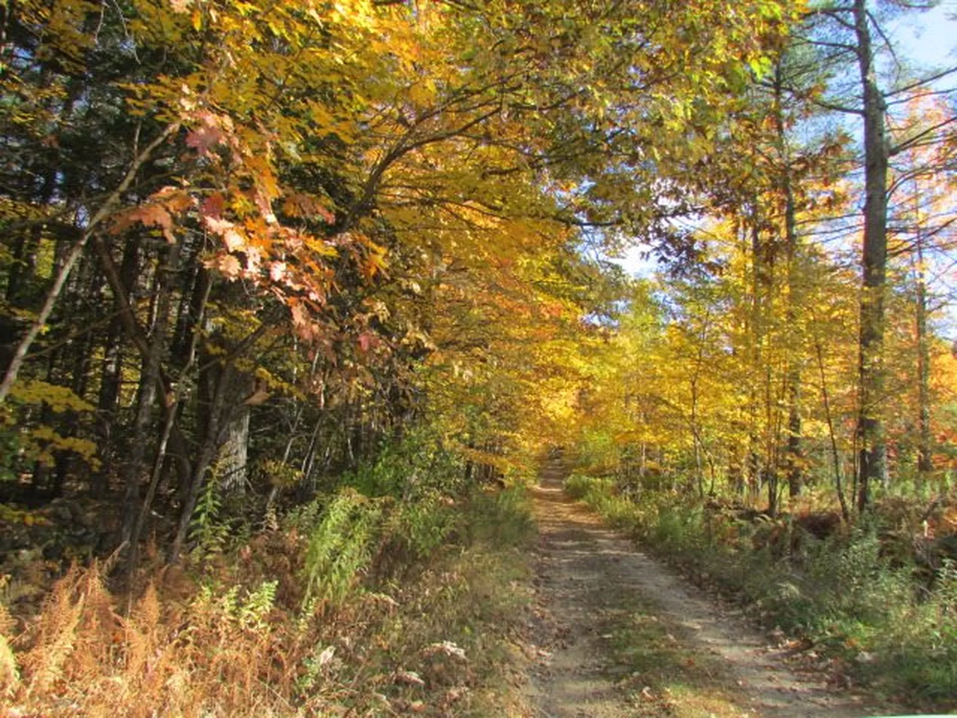171 Eastman Hill Road Sanbornton NH 03269