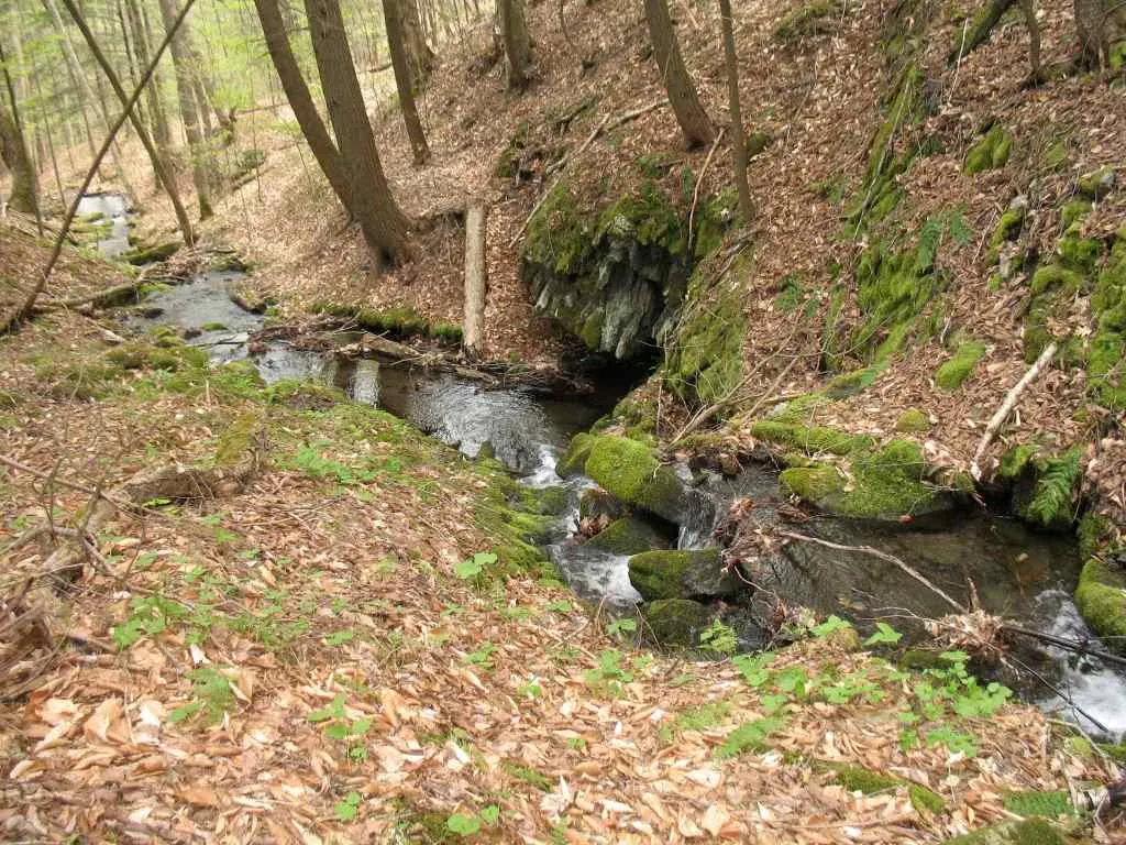 00 Furnace Flat Road Strafford VT 05072