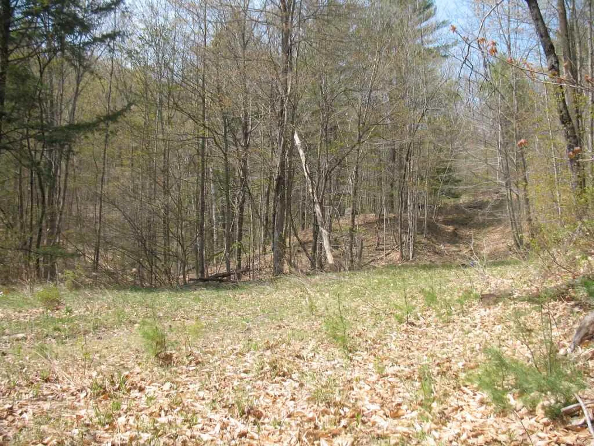 00 Furnace Flat Road Strafford VT 05072