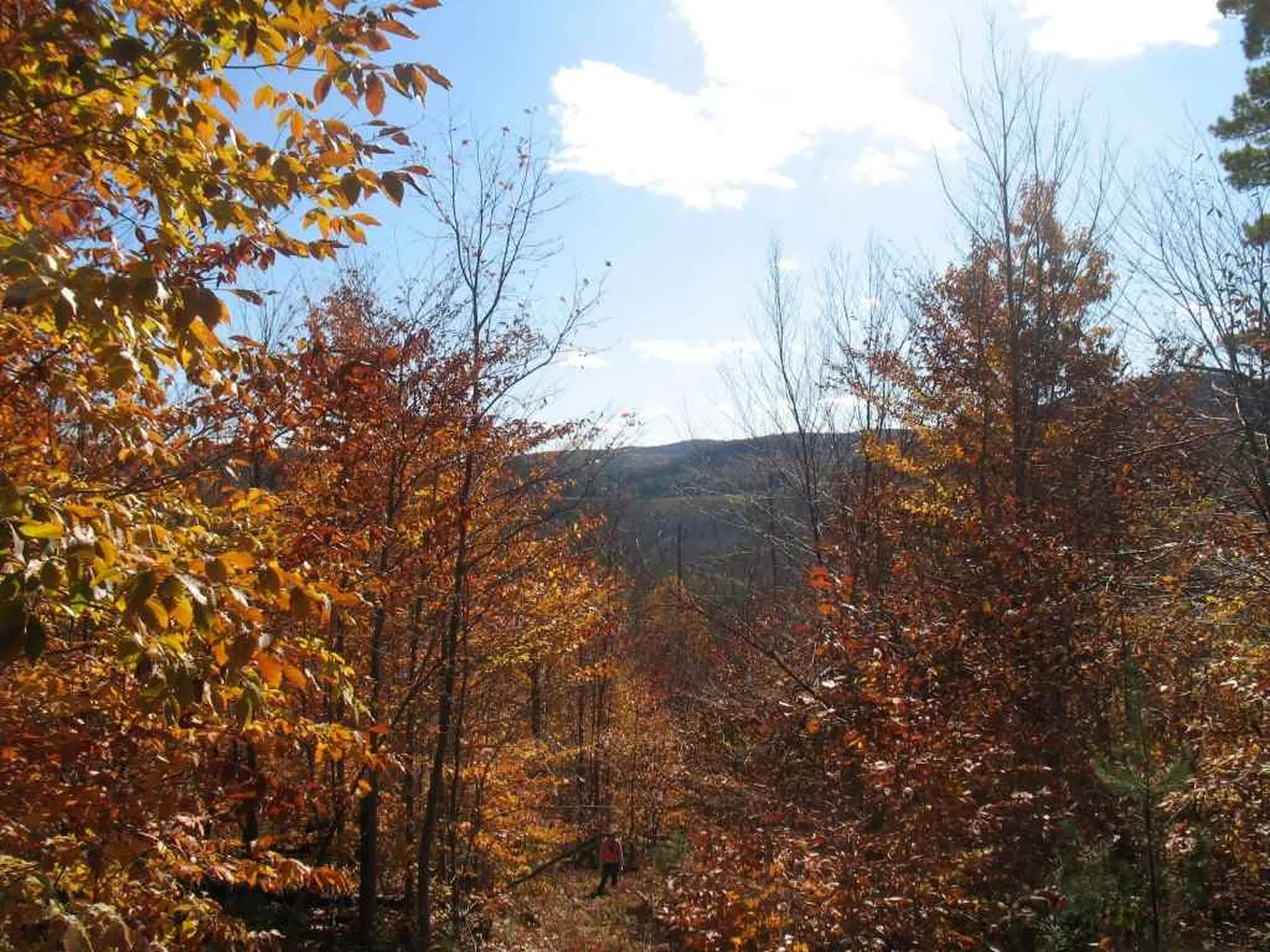 00 Furnace Flat Road Strafford VT 05072