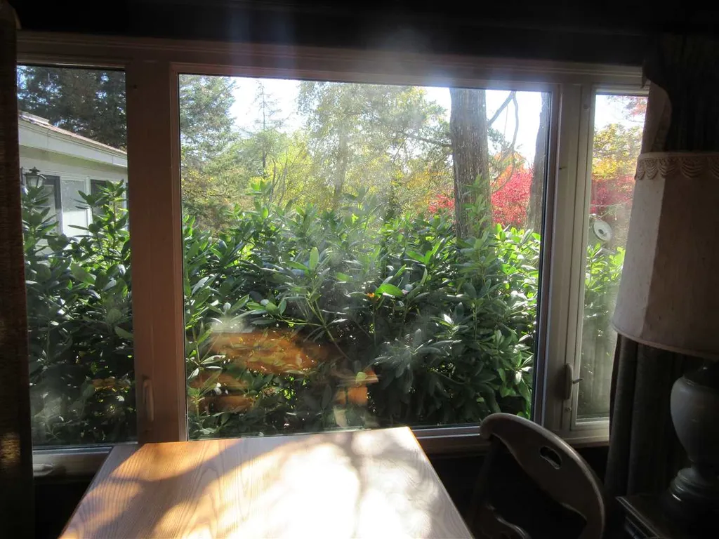 81 Rattlesnake Hill Road Auburn NH 03032-3802