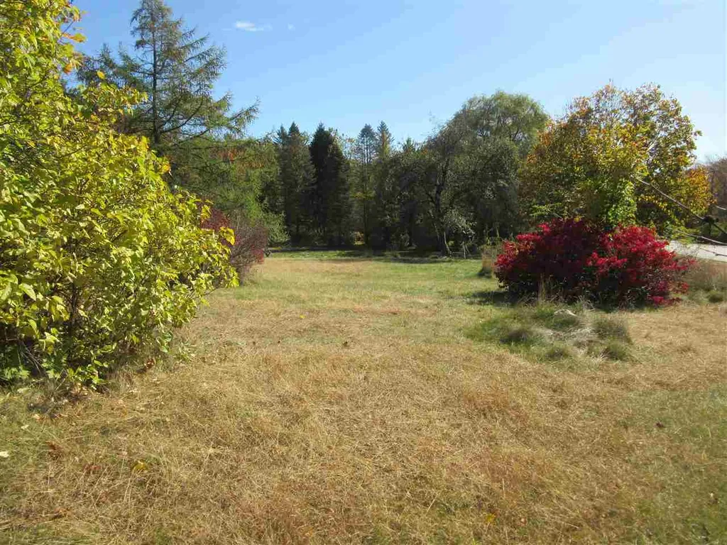 81 Rattlesnake Hill Road Auburn NH 03032-3802